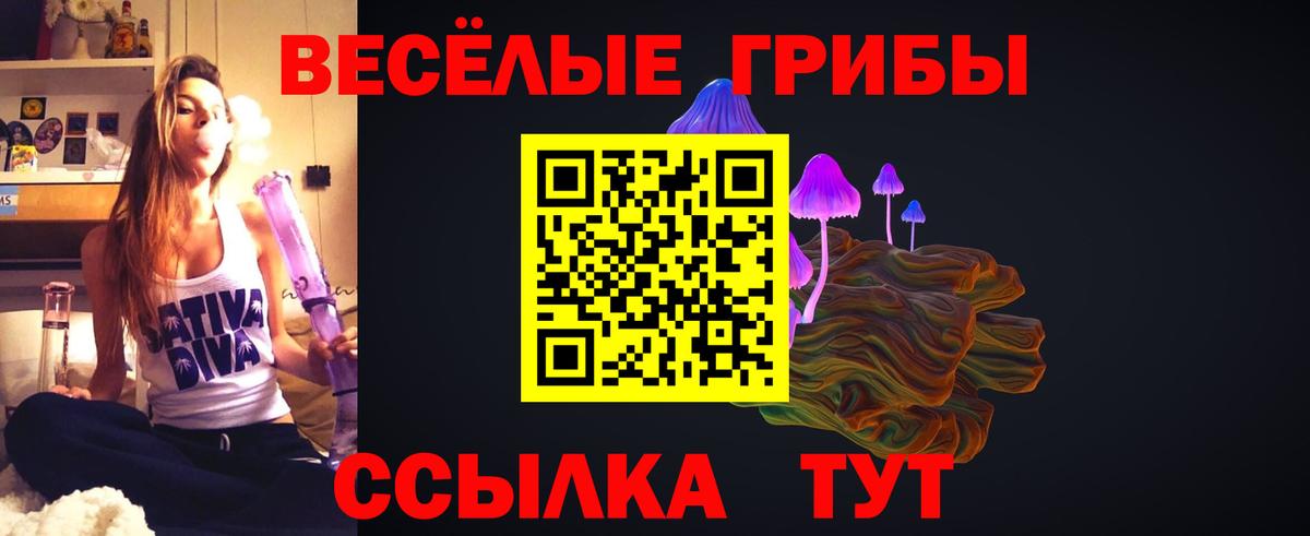 Псилоцибиновые грибы мицелий  Вход с VPN  Обнинск 